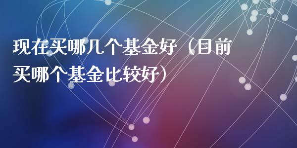 现在买哪几个基金好（目前买哪个基金比较好）_https://www.kuaijiepai.net_投资理财_第1张