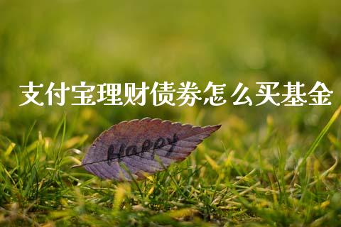 支付宝理财债劵怎么买基金_https://www.kuaijiepai.net_期货理财_第1张