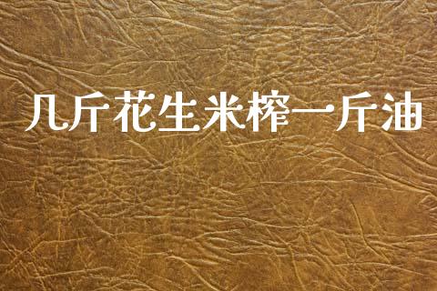 几斤花生米榨一斤油_https://www.kuaijiepai.net_期货资讯_第1张