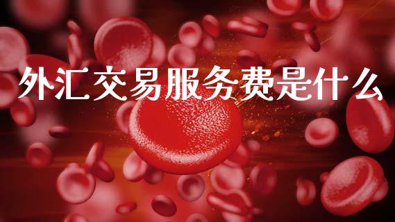 外汇交易服务费是什么_https://www.kuaijiepai.net_期货在线_第1张