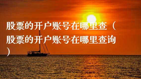 股票的开户账号在哪里查（股票的开户账号在哪里查询）_https://www.kuaijiepai.net_新股新闻_第1张