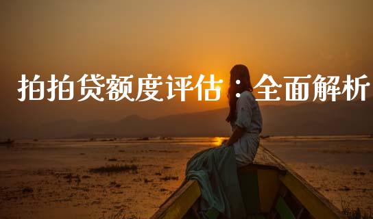 拍拍贷额度评估：全面解析_https://www.kuaijiepai.net_国际期货_第1张