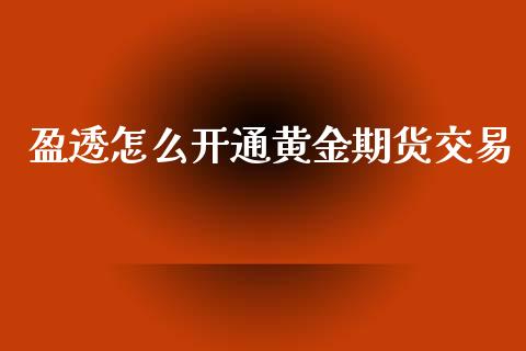 盈透怎么开通黄金期货交易_https://www.kuaijiepai.net_国际期货_第1张