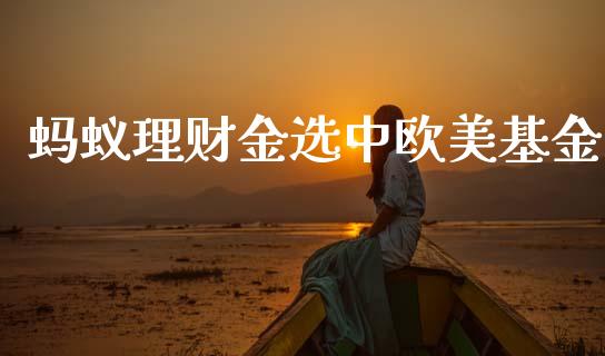 蚂蚁理财金选中欧美基金_https://www.kuaijiepai.net_期货理财_第1张