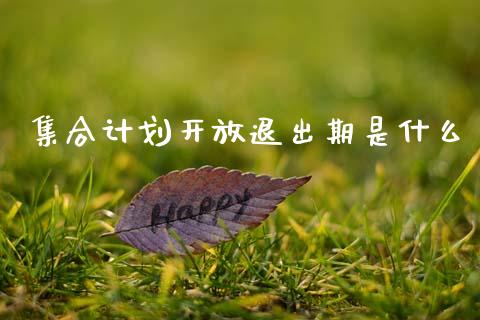集合计划开放退出期是什么_https://www.kuaijiepai.net_期货理财_第1张