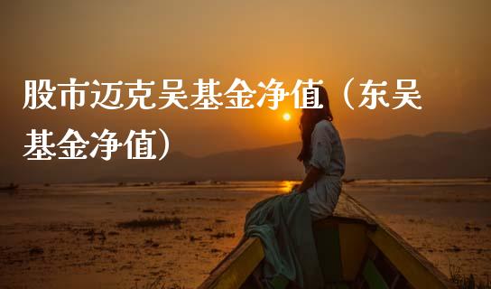 股市迈克吴基金净值（东吴基金净值）_https://www.kuaijiepai.net_投资理财_第1张