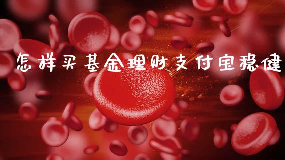 怎样买基金理财支付宝稳健_https://www.kuaijiepai.net_期货理财_第1张