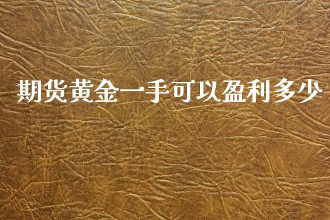 期货黄金一手可以盈利多少_https://www.kuaijiepai.net_国际期货_第1张