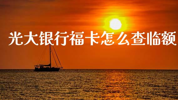 光大银行福卡怎么查临额_https://www.kuaijiepai.net_新股新闻_第1张