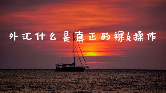 外汇什么是真正的裸k操作_https://www.kuaijiepai.net_期货资讯_第1张