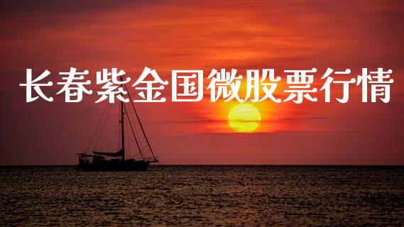 长春紫金国微股票行情_https://www.kuaijiepai.net_国际股建_第1张