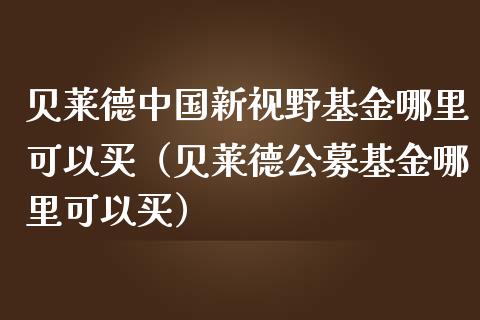 贝莱德中国新视野基金哪里可以买（贝莱德公募基金哪里可以买）_https://www.kuaijiepai.net_投资理财_第1张