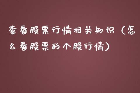 查看股票行情相关知识（怎么看股票的个股行情）_https://www.kuaijiepai.net_新股新闻_第1张