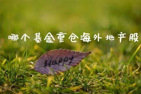 哪个基金重仓海外地产股_https://www.kuaijiepai.net_股票理论_第1张