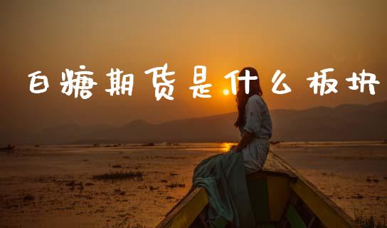 白糖期货是什么板块_https://www.kuaijiepai.net_期货资讯_第1张