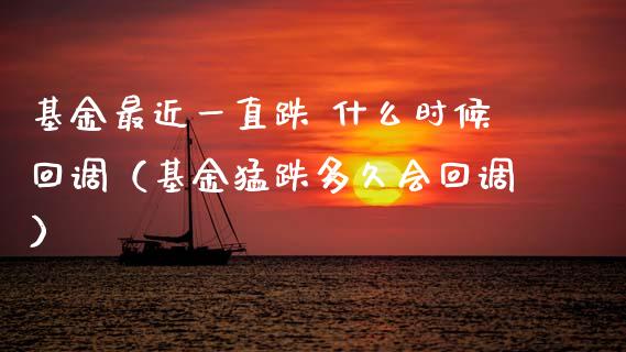 基金最近一直跌 什么时候回调（基金猛跌多久会回调）_https://www.kuaijiepai.net_期货理财_第1张