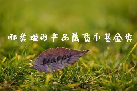 哪类理财产品属货币基金类_https://www.kuaijiepai.net_期货理财_第1张