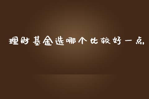 理财基金选哪个比较好一点_https://www.kuaijiepai.net_投资理财_第1张