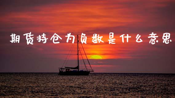期货持仓为负数是什么意思_https://www.kuaijiepai.net_股票理论_第1张