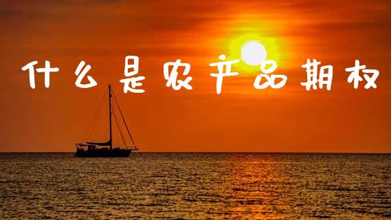 什么是农产品期权_https://www.kuaijiepai.net_国际期货_第1张