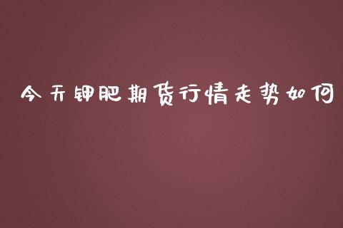 今天钾肥期货行情走势如何_https://www.kuaijiepai.net_期货在线_第1张