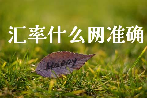 汇率什么网准确_https://www.kuaijiepai.net_国际股建_第1张