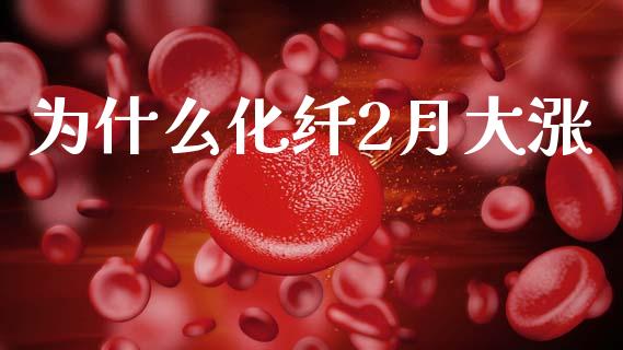 为什么化纤2月大涨_https://www.kuaijiepai.net_期货在线_第1张