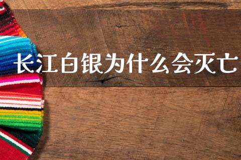 长江白银为什么会灭亡_https://www.kuaijiepai.net_新股新闻_第1张