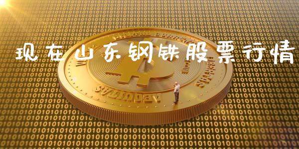 现在山东钢铁股票行情_https://www.kuaijiepai.net_股票理论_第1张