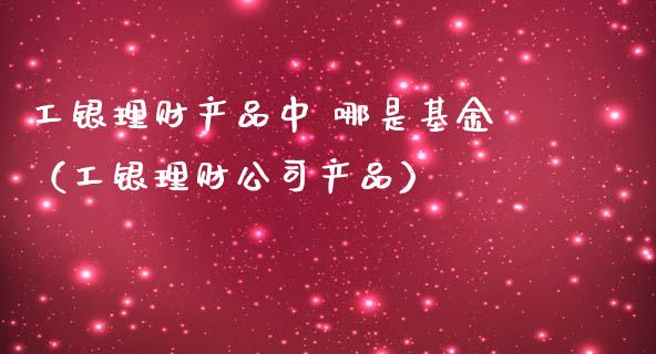 工银理财产品中 哪是基金（工银理财公司产品）_https://www.kuaijiepai.net_期货理财_第1张