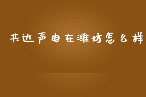 共达声电在潍坊怎么样_https://www.kuaijiepai.net_期货资讯_第1张