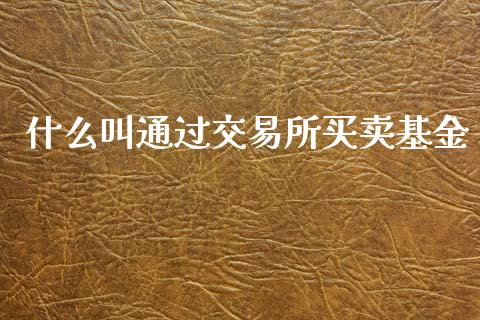 什么叫通过交易所买卖基金_期货理财_第1张_快捷排财经网 什么叫通过交易所买卖基金_https://www.kuaijiepai.net_期货理财_第1张