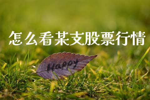 怎么看某支股票行情_https://www.kuaijiepai.net_新股新闻_第1张