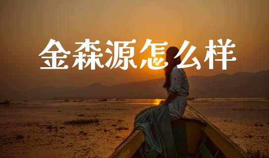 金森源怎么样_https://www.kuaijiepai.net_期货资讯_第1张