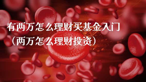 有两万怎么理财买基金入门（两万怎么理财投资）_https://www.kuaijiepai.net_投资理财_第1张