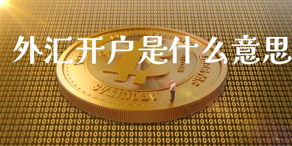 外汇开户是什么意思_https://www.kuaijiepai.net_投资理财_第1张