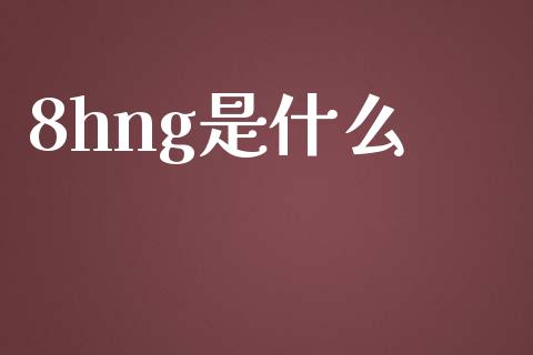 8hng是什么_https://www.kuaijiepai.net_投资理财_第1张