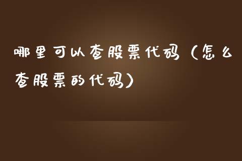 哪里可以查股票代码（怎么查股票的代码）_https://www.kuaijiepai.net_国际股建_第1张