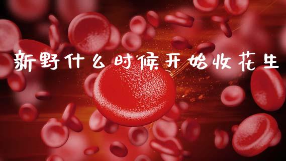新野什么时候开始收花生_https://www.kuaijiepai.net_国际股建_第1张