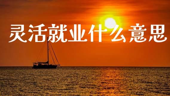灵活就业什么意思_https://www.kuaijiepai.net_投资理财_第1张