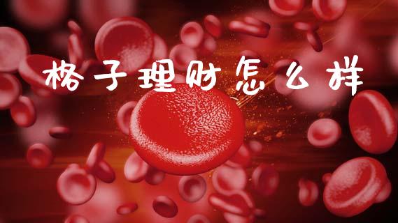 格子理财怎么样_https://www.kuaijiepai.net_期货资讯_第1张