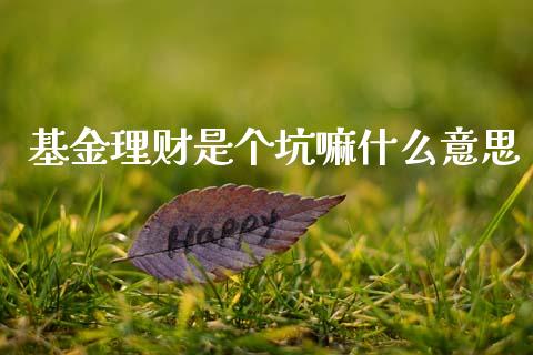 基金理财是个坑嘛什么意思_https://www.kuaijiepai.net_投资理财_第1张