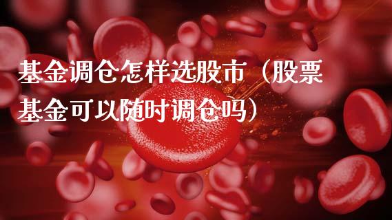 基金调仓怎样选股市（股票基金可以随时调仓吗）_https://www.kuaijiepai.net_期货理财_第1张