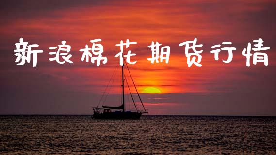 新浪棉花期货行情_https://www.kuaijiepai.net_国际期货_第1张