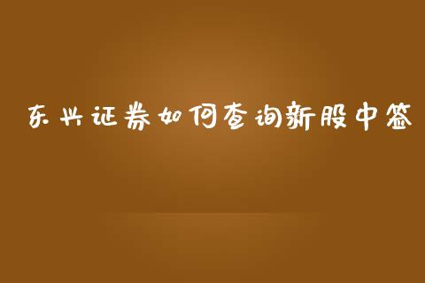 东兴证券如何查询新股中签_https://www.kuaijiepai.net_期货理财_第1张