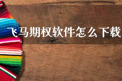 飞马期权软件怎么下载_https://www.kuaijiepai.net_期货理财_第1张