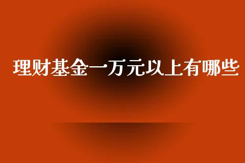 理财基金一万元以上有哪些_https://www.kuaijiepai.net_投资理财_第1张