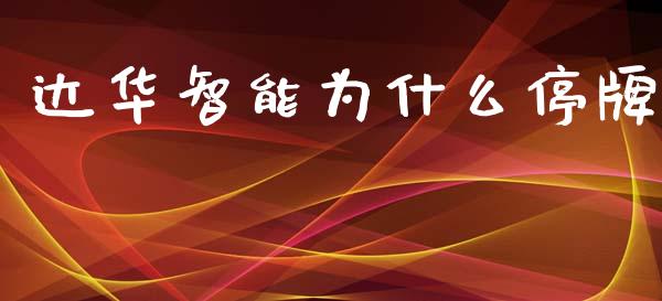 达华智能为什么停牌_https://www.kuaijiepai.net_期货在线_第1张