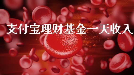 支付宝理财基金一天收入_https://www.kuaijiepai.net_期货理财_第1张