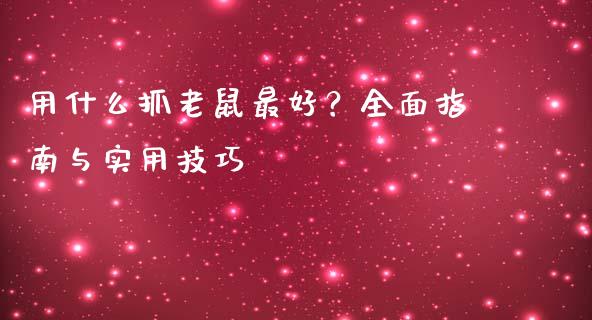 用什么抓老鼠最好？全面指南与实用技巧_https://www.kuaijiepai.net_新股新闻_第1张